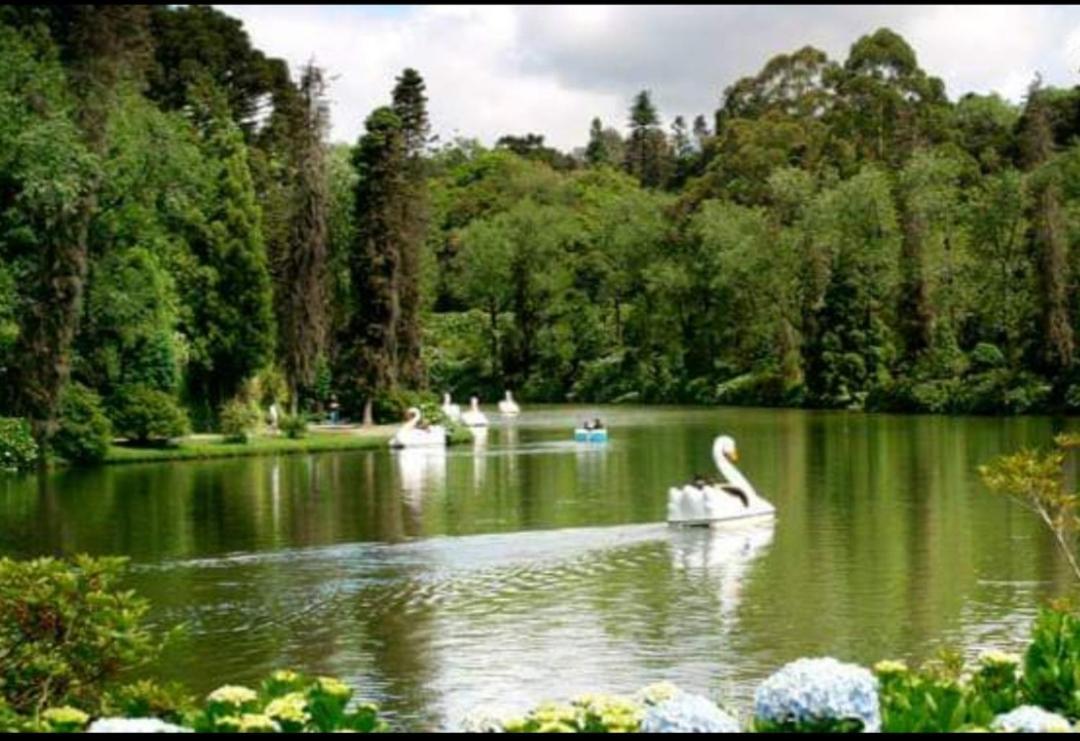 Casa Nobre Gramado 빌라 외부 사진