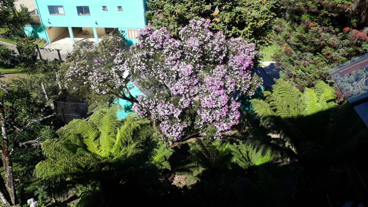 Casa Nobre Gramado 빌라 외부 사진