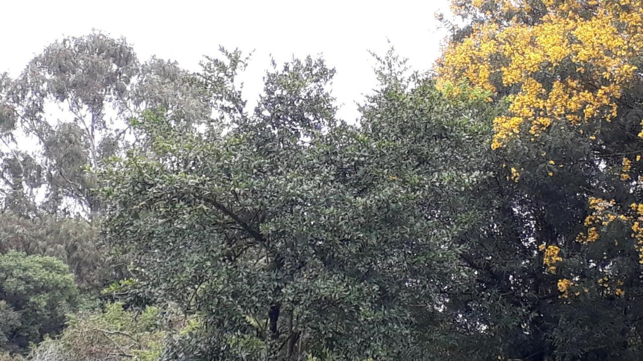 Casa Nobre Gramado 빌라 외부 사진